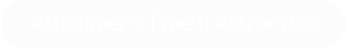 Alzheimer's Type II Astrocytes