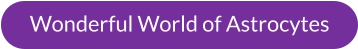 Wonderful World of Astrocytes